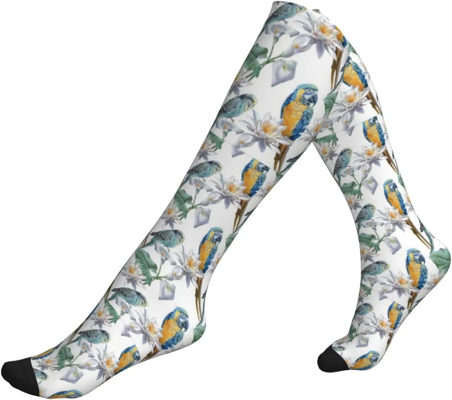 Parrots on Branches Print Circulation Compression Socks For Plantar Fasciitis Edema And Post Surgery